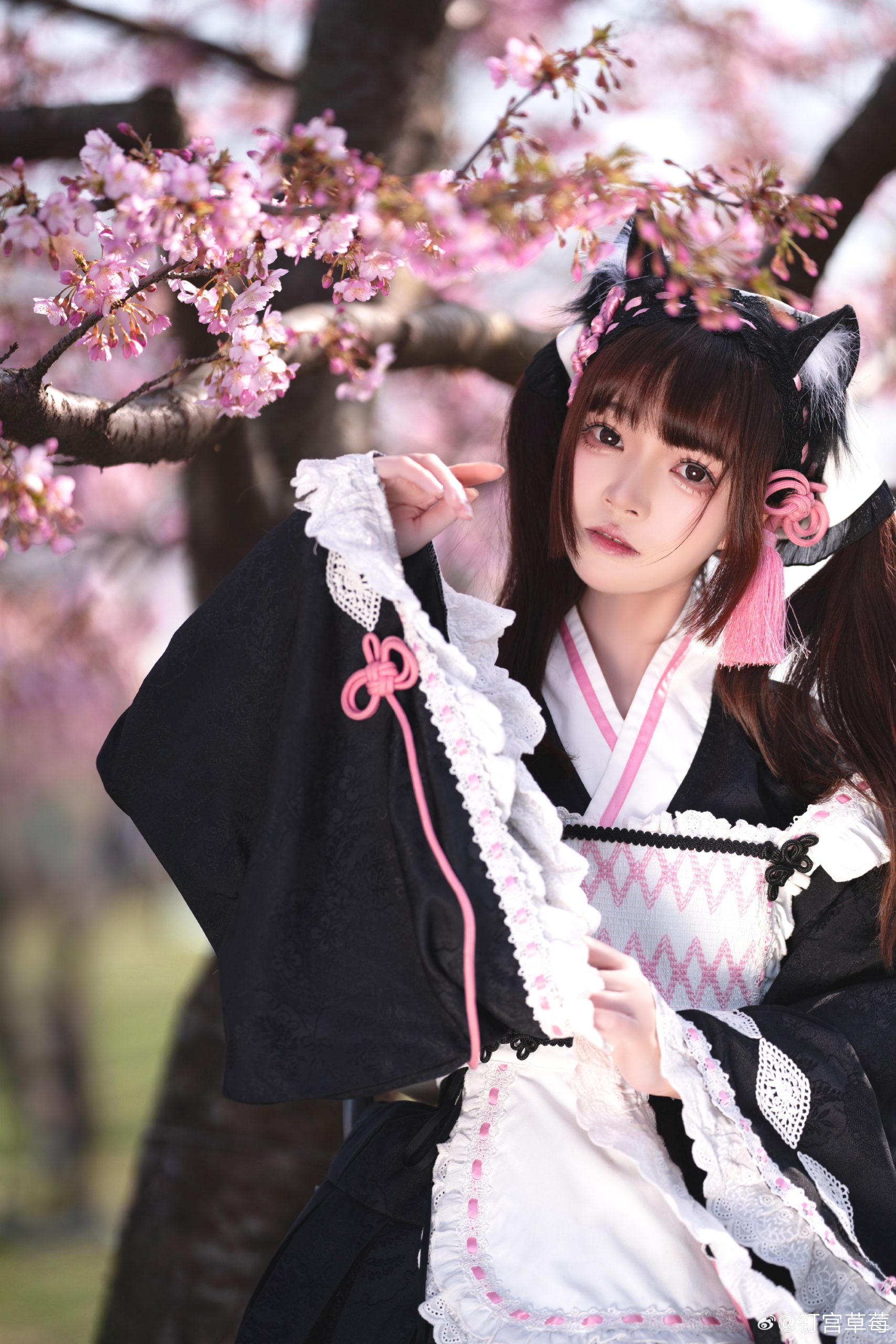 lolita 🌸樱花小妹出现辣！每年必打卡项目！@钉宫草莓-米哈社