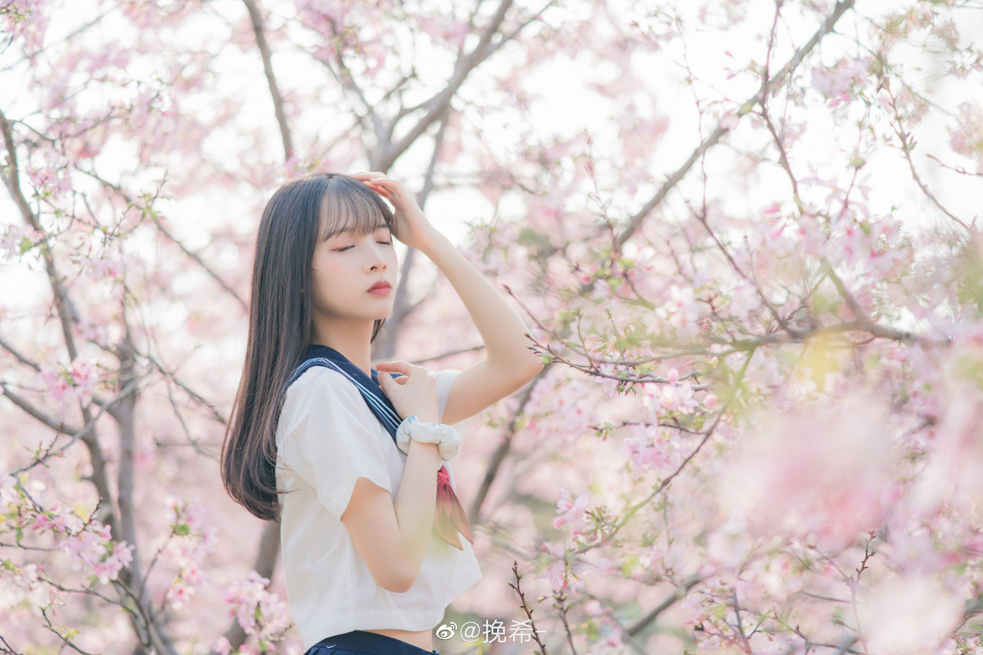 少女写真 JK制服 JK少女 赴樱花之约 无论如何我们都要相见的@挽希--米哈社