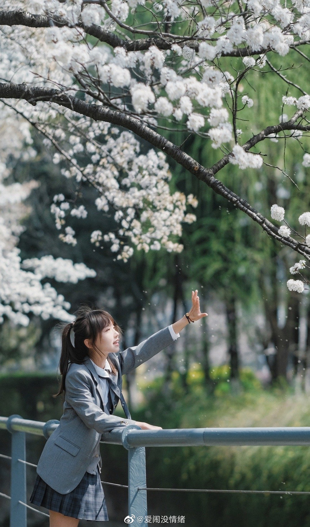 JK制服 我也是拍到早樱的人啦 @爱闹没情绪-米哈社