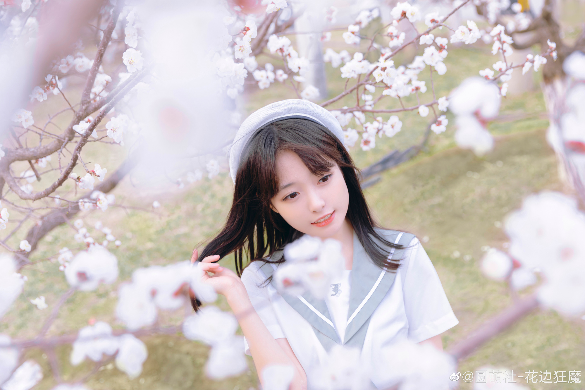 春日预告！@v机智糖浆v-米哈社