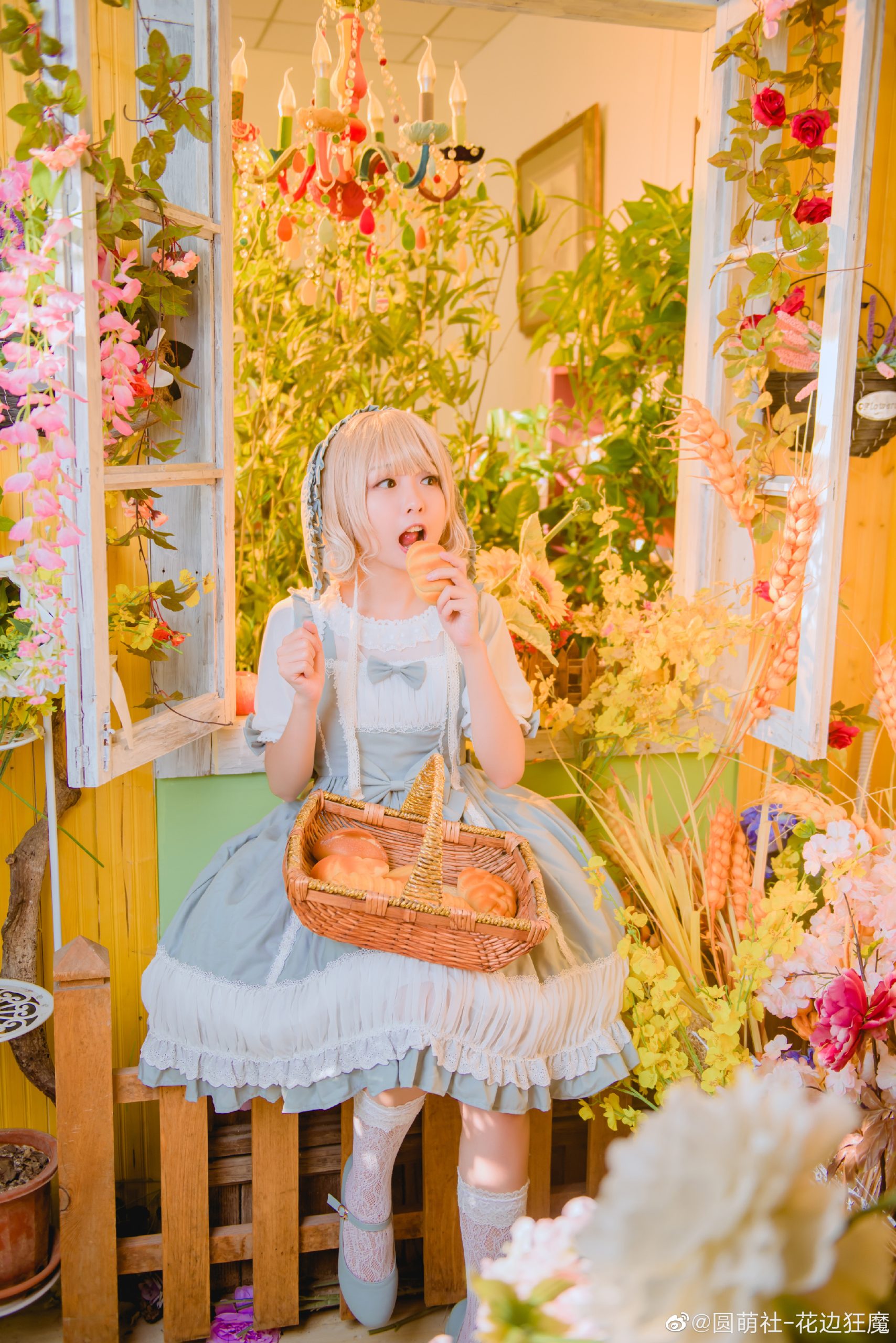 LOLITA 兔兔走到哪吃到哪！唯独看书会困 @圆萌社-花边狂魔-米哈社