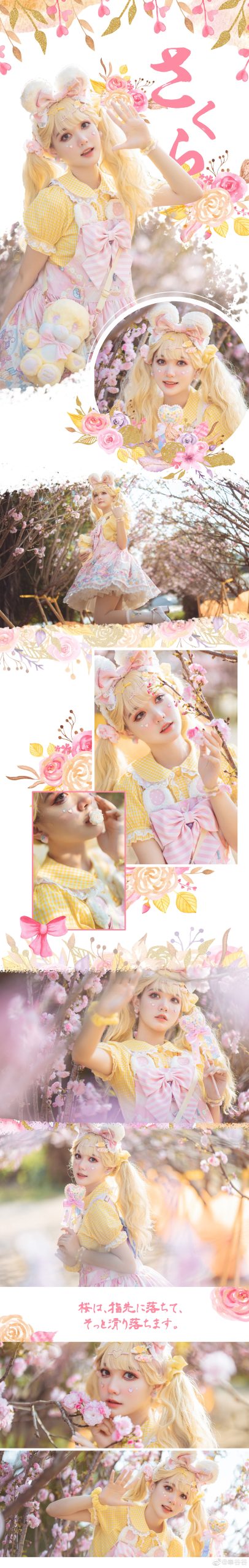 幸いにも三月に桜が舞い@奉谷谷-米哈社