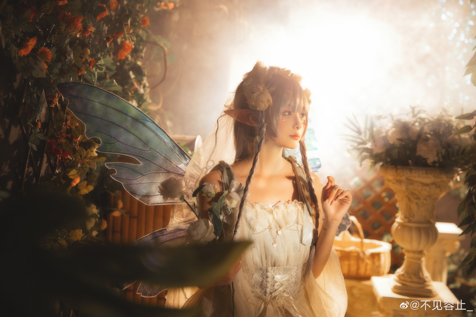 LOLITA 你是人间精灵 踩着星光落入我的梦境 @不见容止_-米哈社